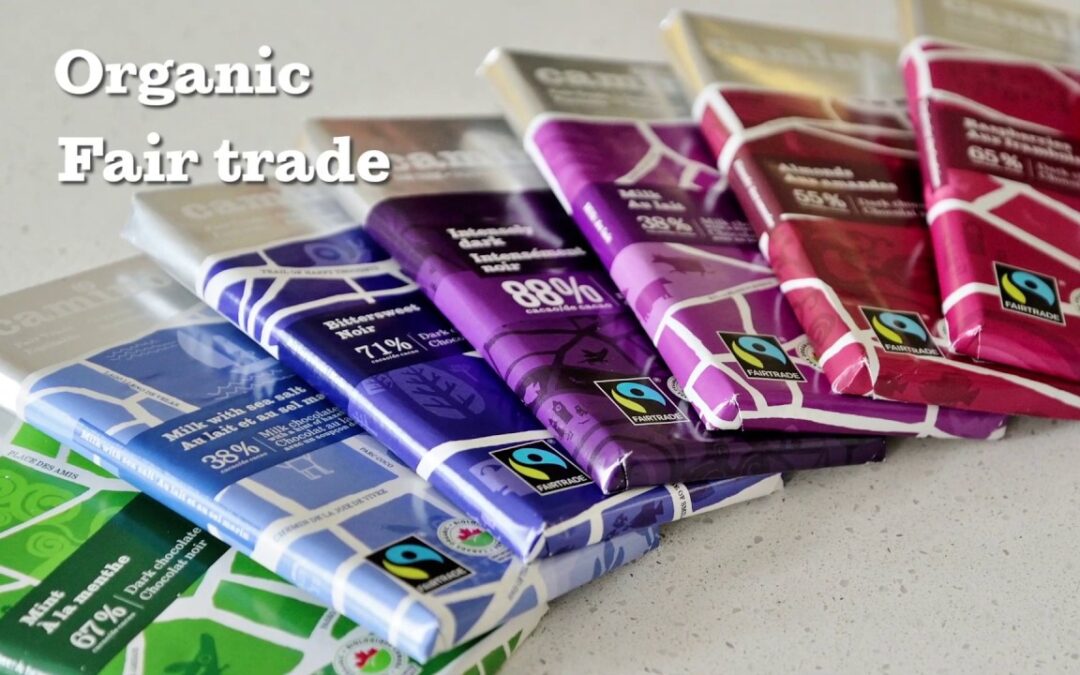 Why Camino Chocolate is the Perfect Gift for Chocolate Lovers