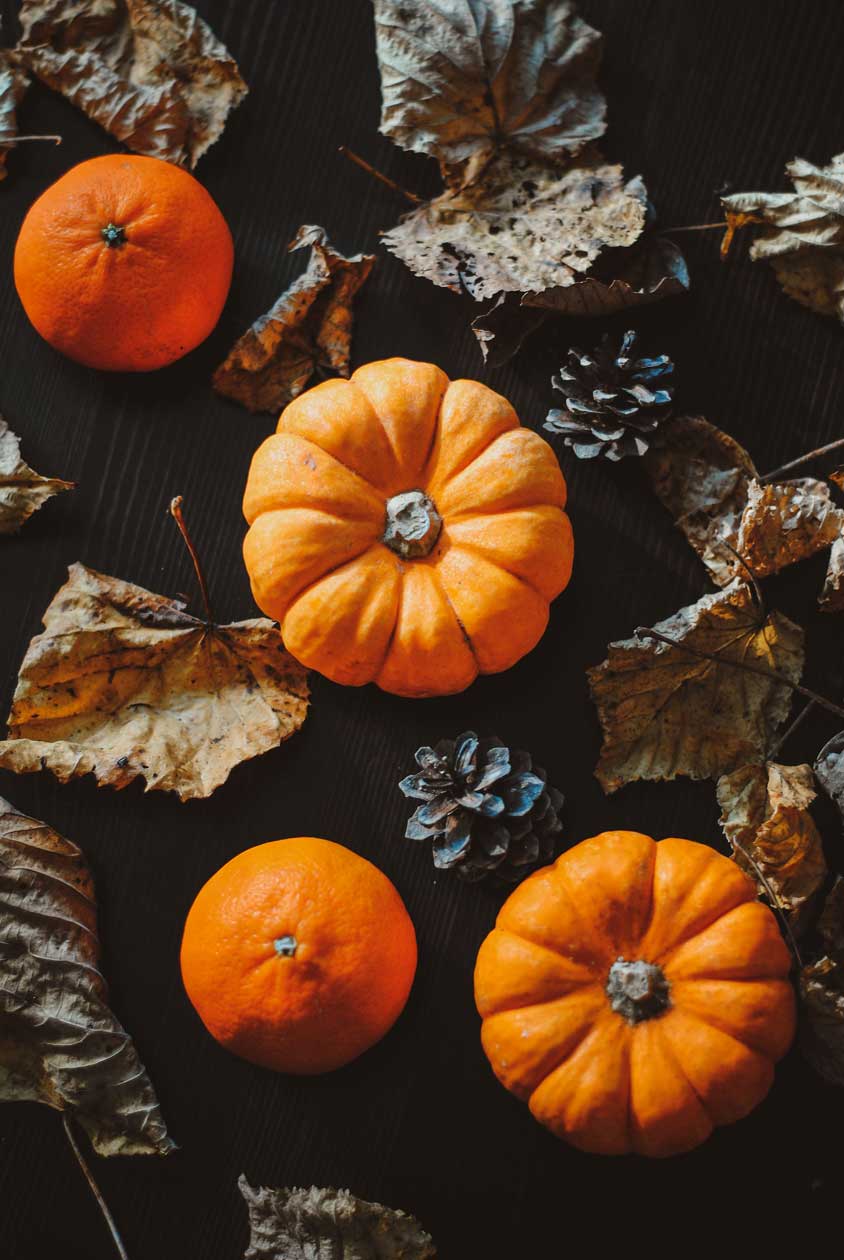 Easy Halloween DIY Decorations for Spooky Season